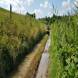 obozy-quadowe-paintballowe-gokartowe-wandrus-travel-20210729_010417.jpg
