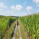 obozy-quadowe-paintballowe-gokartowe-wandrus-travel-20210729_010427.jpg
