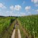 obozy-quadowe-paintballowe-gokartowe-wandrus-travel-20210729_010428.jpg
