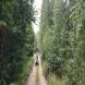 obozy-quadowe-paintballowe-gokartowe-wandrus-travel-20210729_010488.jpg