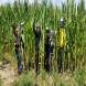 obozy-quadowe-paintballowe-gokartowe-wandrus-travel-20210729_010520.jpg