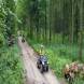 obozy-quadowe-paintballowe-gokartowe-wandrus-travel-20210729_010528.jpg