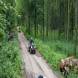 obozy-quadowe-paintballowe-gokartowe-wandrus-travel-20210729_010529.jpg