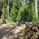 obozy-quadowe-paintballowe-gokartowe-wandrus-travel-20210729_010556.jpg