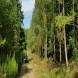 obozy-quadowe-paintballowe-gokartowe-wandrus-travel-20210729_010562.jpg