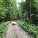 obozy-quadowe-paintballowe-gokartowe-img_3513.jpg
