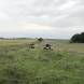 obozy-quadowe-paintballowe-gokartowe-img_3713.jpg