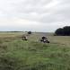 obozy-quadowe-paintballowe-gokartowe-img_3714.jpg