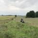 obozy-quadowe-paintballowe-gokartowe-img_3716.jpg