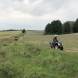 obozy-quadowe-paintballowe-gokartowe-img_3718.jpg