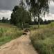 obozy-quadowe-paintballowe-gokartowe-img_3809.jpg