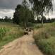 obozy-quadowe-paintballowe-gokartowe-img_3813.jpg