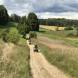 obozy-quadowe-paintballowe-gokartowe-img_4356.jpg