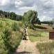 obozy-quadowe-paintballowe-gokartowe-img_4377.jpg