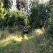 obozy-quadowe-paintballowe-gokartowe-img_4817.jpg