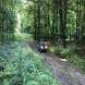 obozy-quadowe-paintballowe-gokartowe-img_4855.jpg
