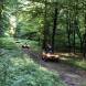 obozy-quadowe-paintballowe-gokartowe-img_4865.jpg