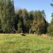 obozy-quadowe-paintballowe-gokartowe-img_4963.jpg
