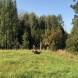 obozy-quadowe-paintballowe-gokartowe-img_4967.jpg