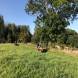obozy-quadowe-paintballowe-gokartowe-img_4973.jpg