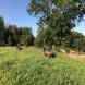 obozy-quadowe-paintballowe-gokartowe-img_4974.jpg