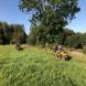 obozy-quadowe-paintballowe-gokartowe-img_4978.jpg
