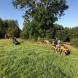 obozy-quadowe-paintballowe-gokartowe-img_4979.jpg