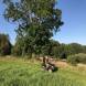 obozy-quadowe-paintballowe-gokartowe-img_4985.jpg