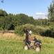 obozy-quadowe-paintballowe-gokartowe-img_4987.jpg
