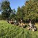 obozy-quadowe-paintballowe-gokartowe-img_4992.jpg