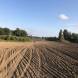 obozy-quadowe-paintballowe-gokartowe-img_5194.jpg