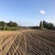 obozy-quadowe-paintballowe-gokartowe-img_5196.jpg