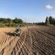 obozy-quadowe-paintballowe-gokartowe-img_5205.jpg