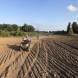 obozy-quadowe-paintballowe-gokartowe-img_5225.jpg