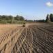 obozy-quadowe-paintballowe-gokartowe-img_5245.jpg