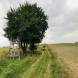 obozy-quadowe-paintballowe-gokartowe-img_5796.jpg