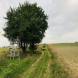 obozy-quadowe-paintballowe-gokartowe-img_5797.jpg