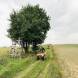 obozy-quadowe-paintballowe-gokartowe-img_5802.jpg