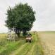 obozy-quadowe-paintballowe-gokartowe-img_5803.jpg