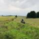 obozy-quadowe-paintballowe-gokartowe-img_5848.jpg