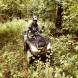 obozy-quadowe-paintballowe-gokartowe-img_5983.jpg