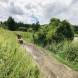 obozy-quadowe-paintballowe-gokartowe-img_6042.jpg