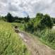obozy-quadowe-paintballowe-gokartowe-img_6044.jpg