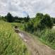 obozy-quadowe-paintballowe-gokartowe-img_6045.jpg