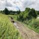 obozy-quadowe-paintballowe-gokartowe-img_6046.jpg
