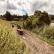 obozy-quadowe-paintballowe-gokartowe-img_6050.jpg