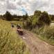 obozy-quadowe-paintballowe-gokartowe-img_6051.jpg