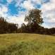 obozy-quadowe-paintballowe-gokartowe-img_6158.jpg