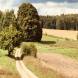 obozy-quadowe-paintballowe-gokartowe-img_6215.jpg