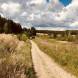 obozy-quadowe-paintballowe-gokartowe-img_6217.jpg